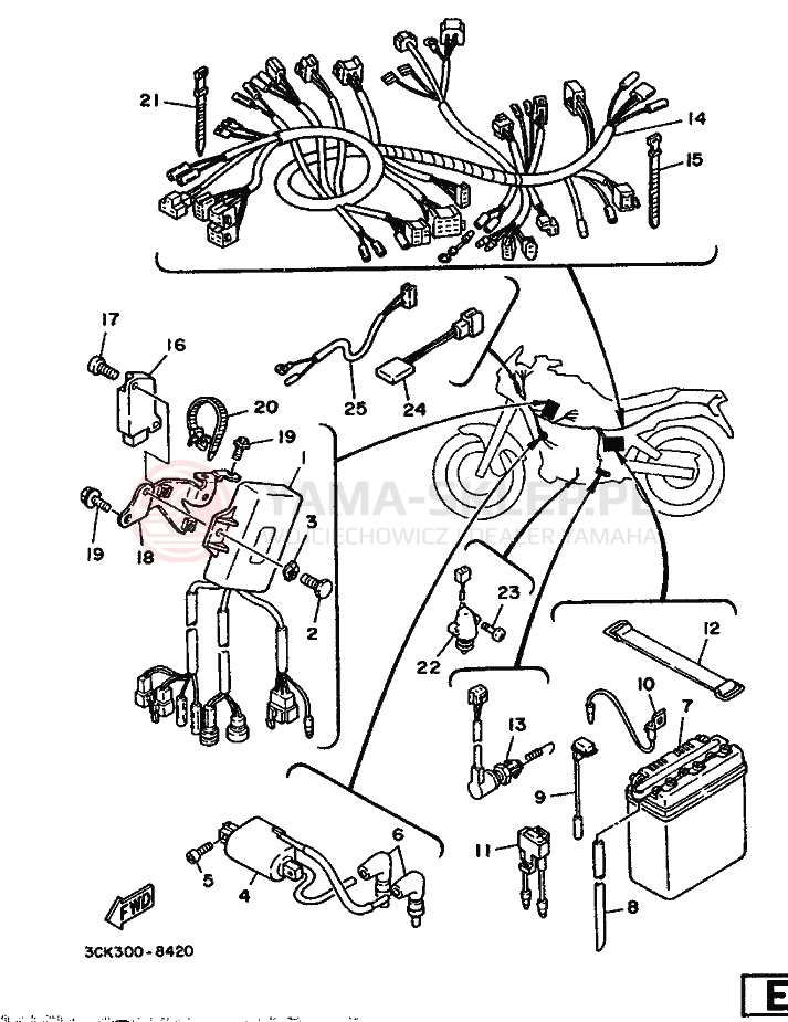 Schemat "układ elektryczny" do Yamaha TDR250