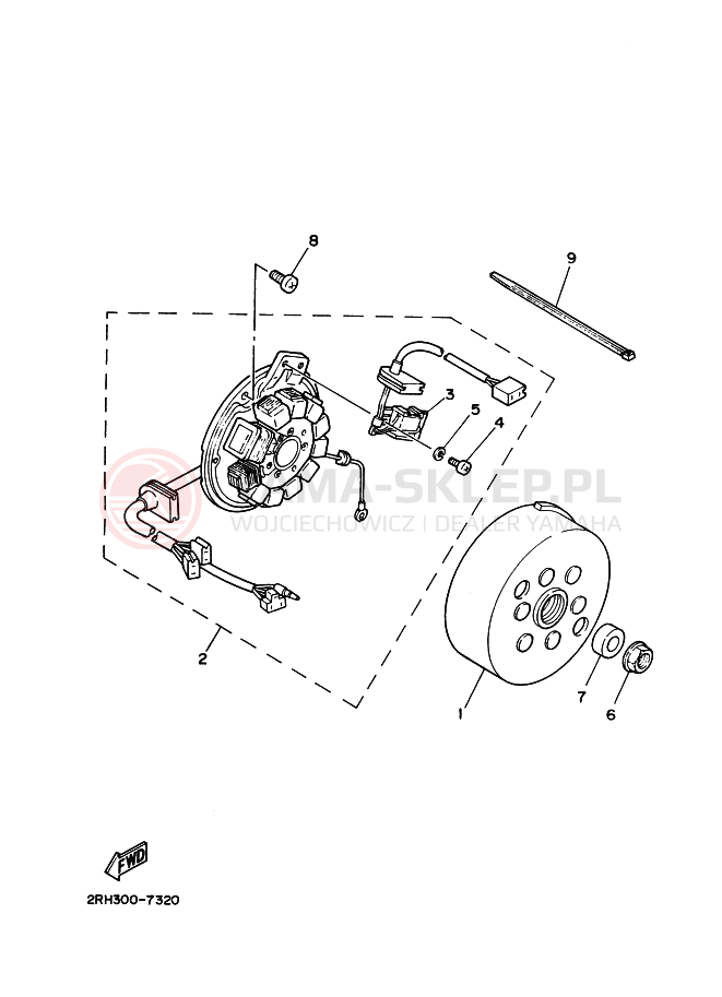 Schemat "prądnica" do Yamaha TZR125