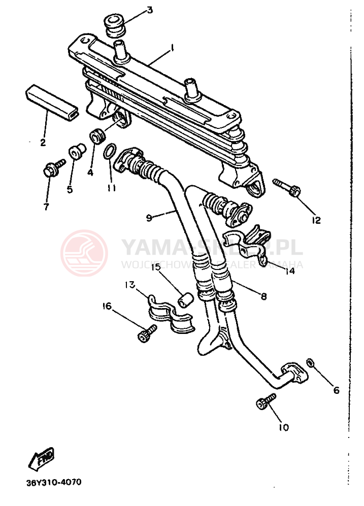 Schemat "Chłodnica oleju" do Yamaha FJ1200