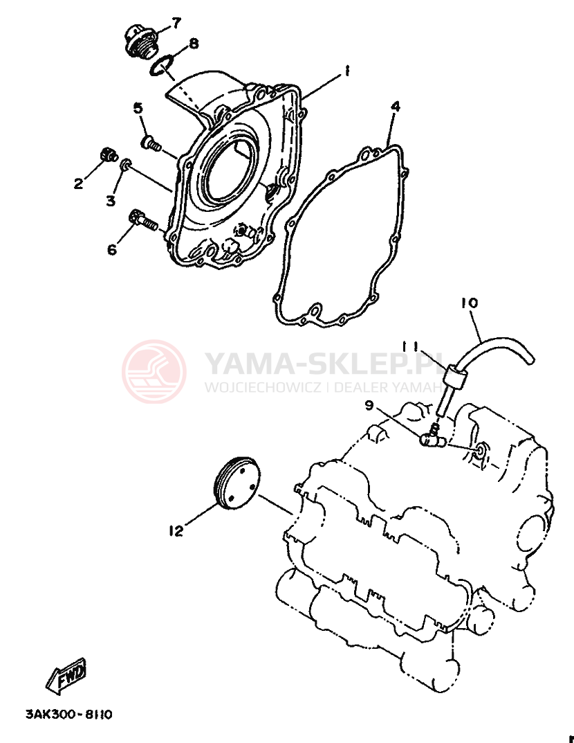 Schemat "Pokrywa silnika" do Yamaha TZ250