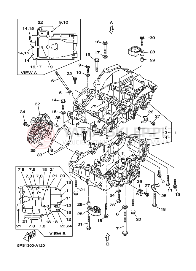 Schemat "Pokrywa silnika" do Yamaha TDM900