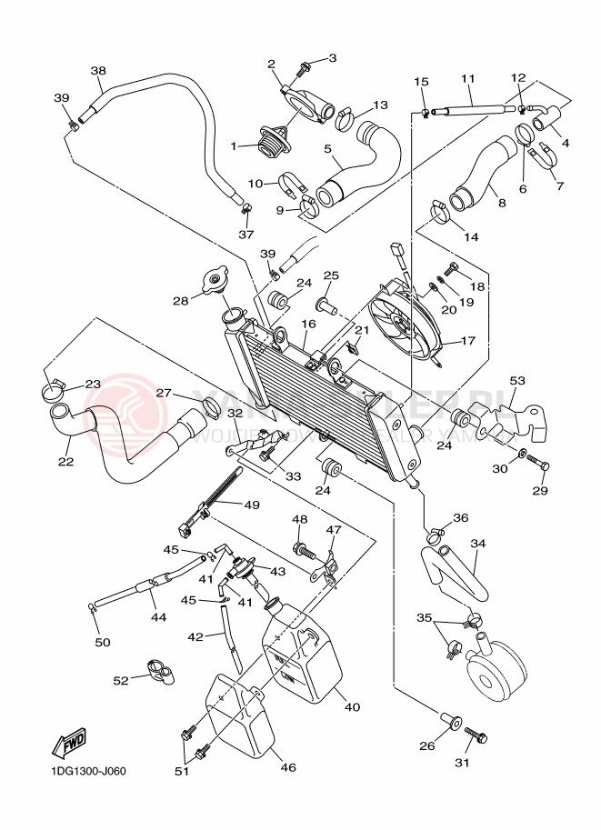 Schemat "Układ chlodzenia" do Yamaha XJ6FA