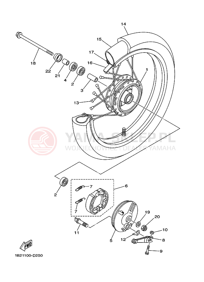 Schemat "Koło przód" do Yamaha TT-R125LW