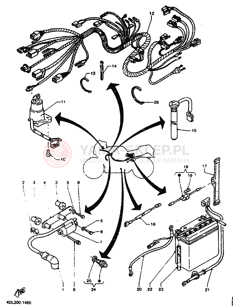 Schemat "układ elektryczny" do Yamaha TZR125