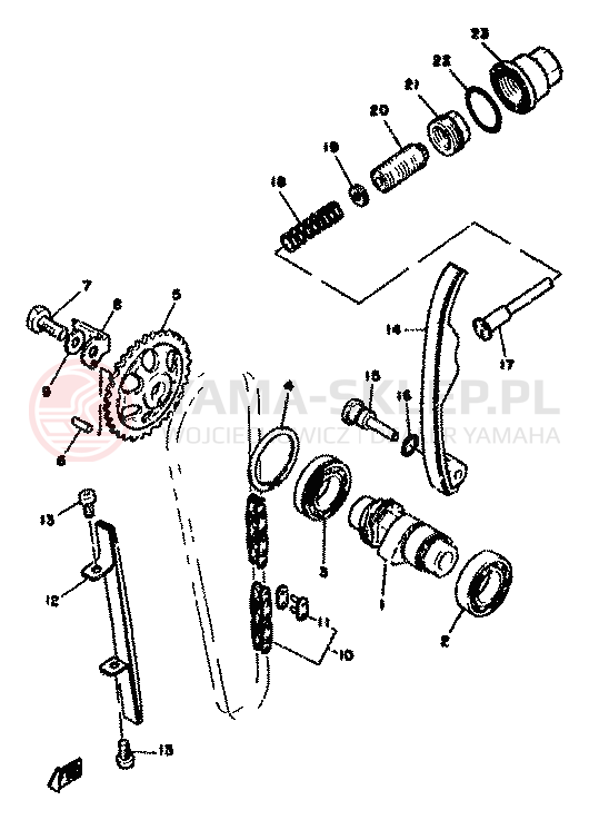 Schemat "Rozrząd - łańcuszek" do Yamaha SR500