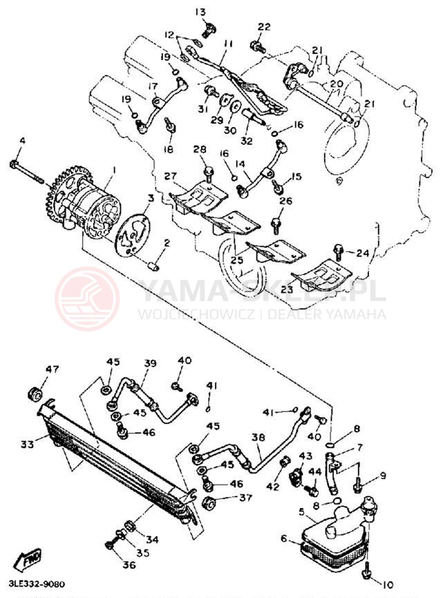 Schemat "Pompa olejowa" do Yamaha FZR1000A/FZR1000AC