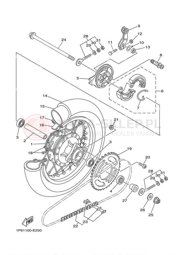 Schemat "Koło tył" do Yamaha TT-R50E TTR50EW