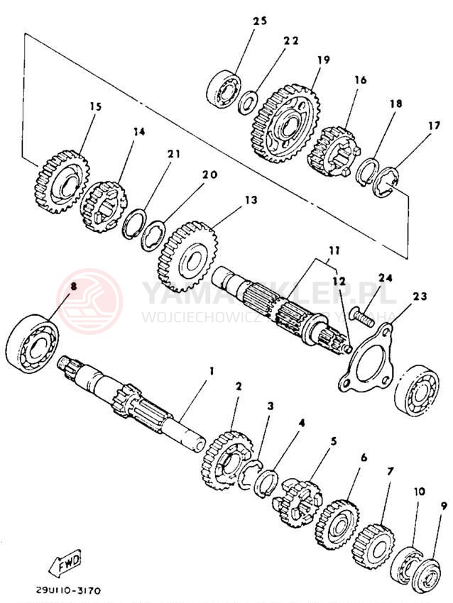 Schemat "Skrzynia biegów " do Yamaha YTM225DXL