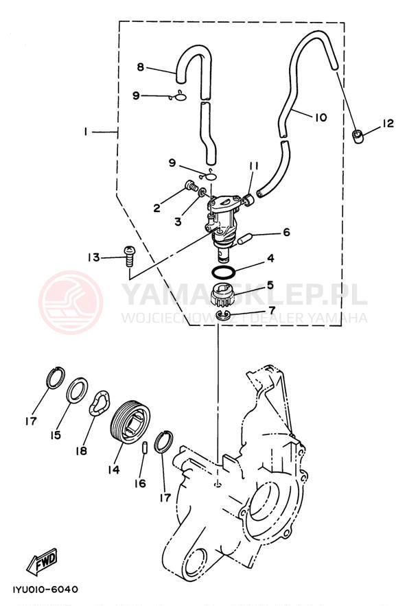 Schemat "Pompa olejowa" do Yamaha RAZZ SH50L