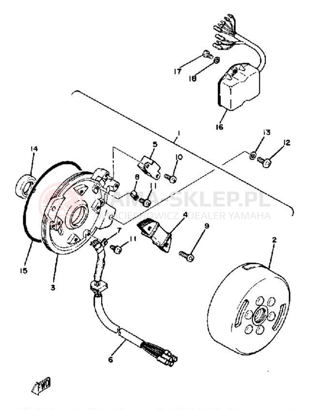 Schemat "Moduł zapłonowy - cewka" do Yamaha TT250G