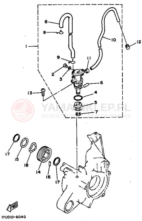 Schemat "Pompa olejowa" do Yamaha RAZZ SH50MD