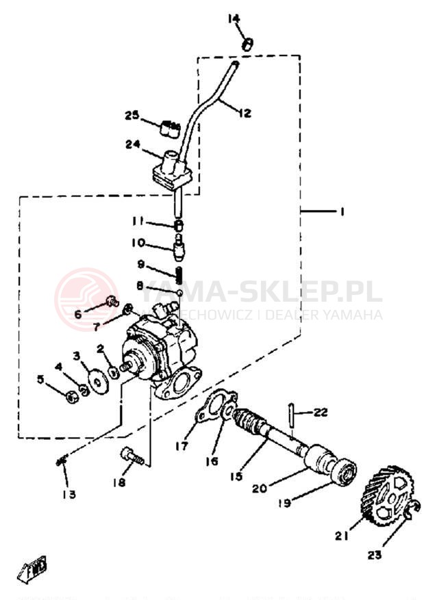 Schemat "Pompa olejowa" do Yamaha DT100K