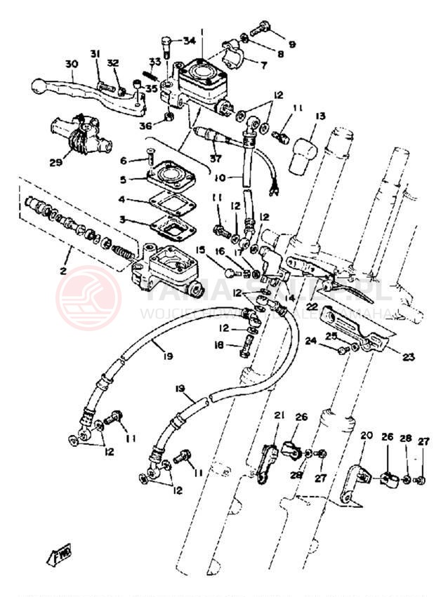 Schemat "Pompa hamulcowa przednia, przewód" do Yamaha XS1100F