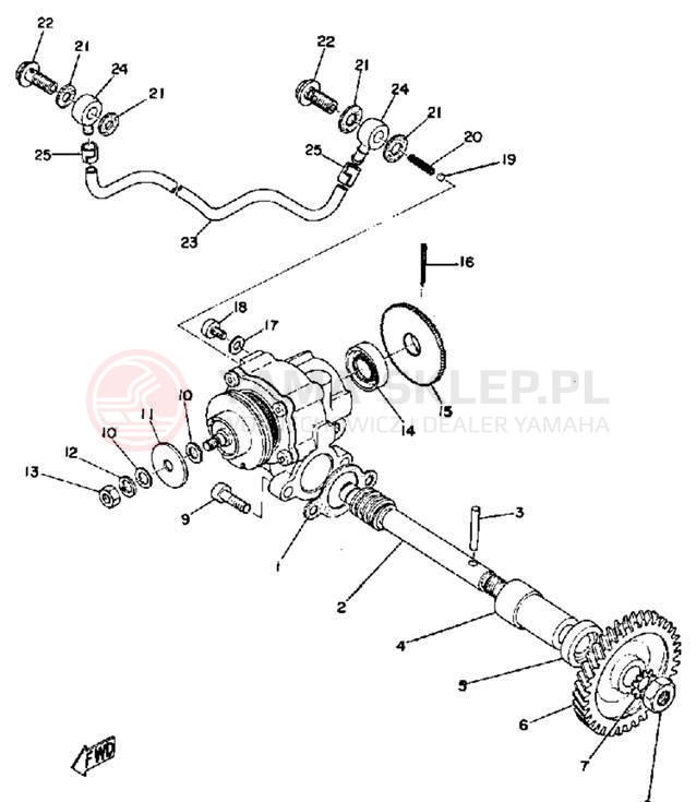 Schemat "Pompa olejowa" do Yamaha G6S