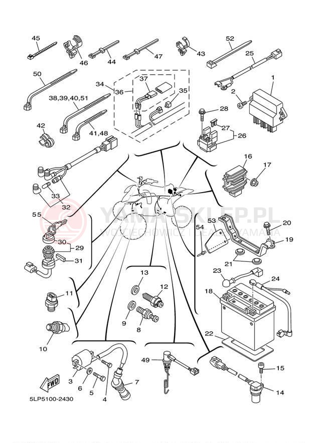 Schemat "układ elektryczny" do Yamaha 660R RAPTOR YFM660RP