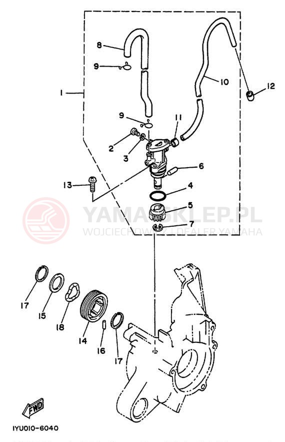 Schemat "Pompa olejowa" do Yamaha RAZZ SH50M