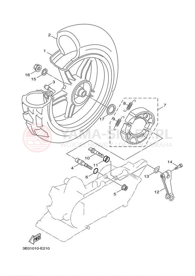 Schemat "Koło tył" do Yamaha ZUMA 50 YW50FDR/YW50FDB