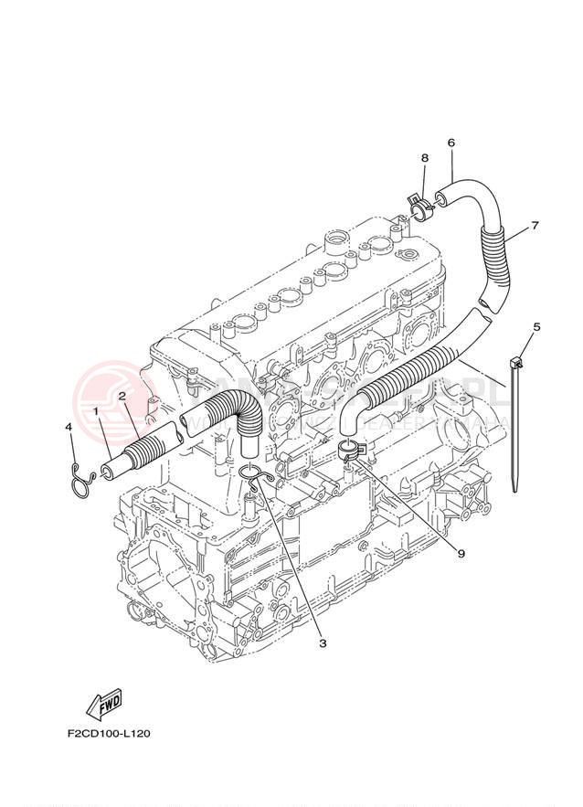 Schemat "Odpowietrzenie układu smarowania" do Yamaha WAVERUNNER FZS GX1800AL