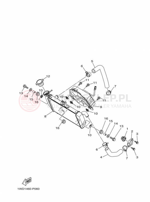 Schemat "Układ chlodzenia" do Yamaha YZFR3 YZFR3FL/YZFR3FR/YZFR3FB