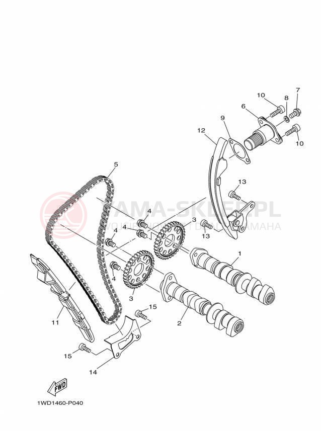 Schemat "Rozrząd - łańcuszek" do Yamaha YZFR3 YZFR3FL/YZFR3FR/YZFR3FB