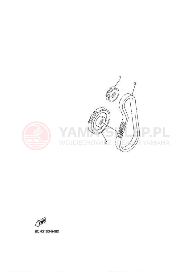 Schemat "DRIVE SETTING" do Yamaha APEX_RTX RX10RTRYB/RX10RYR